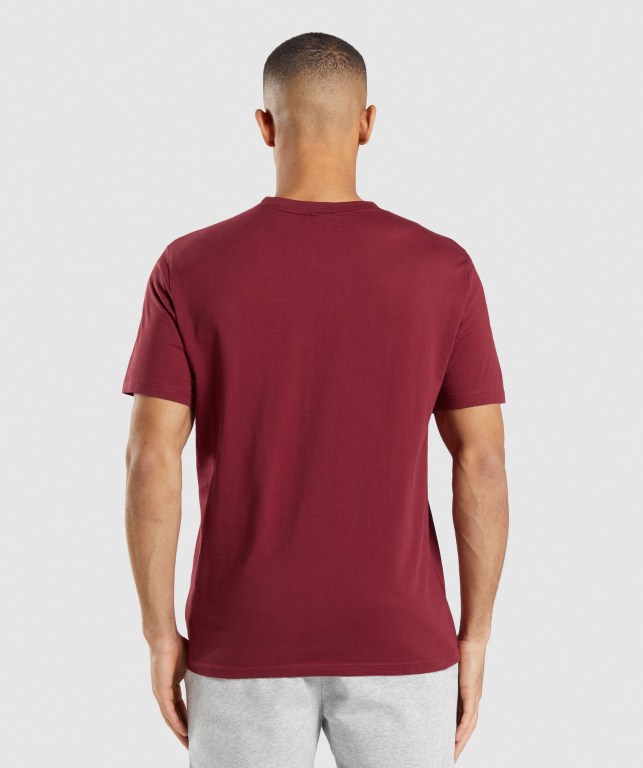 Gymshark Crest Tişört Erkek Bordo Kırmızı | 647-JOREQD