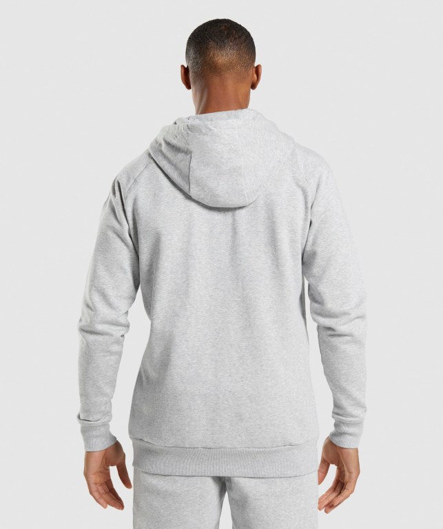 Gymshark Crest Zip Up Kapüşonlu Sweatshirt Erkek Açık Gri | 624-TJVICO