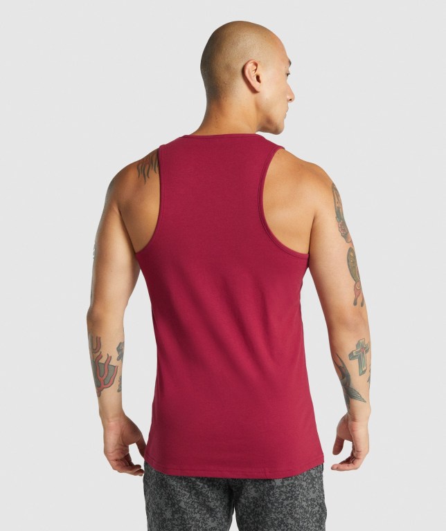 Gymshark Critical 2.0 Atlet Erkek Bordo | 971-BQGIFK