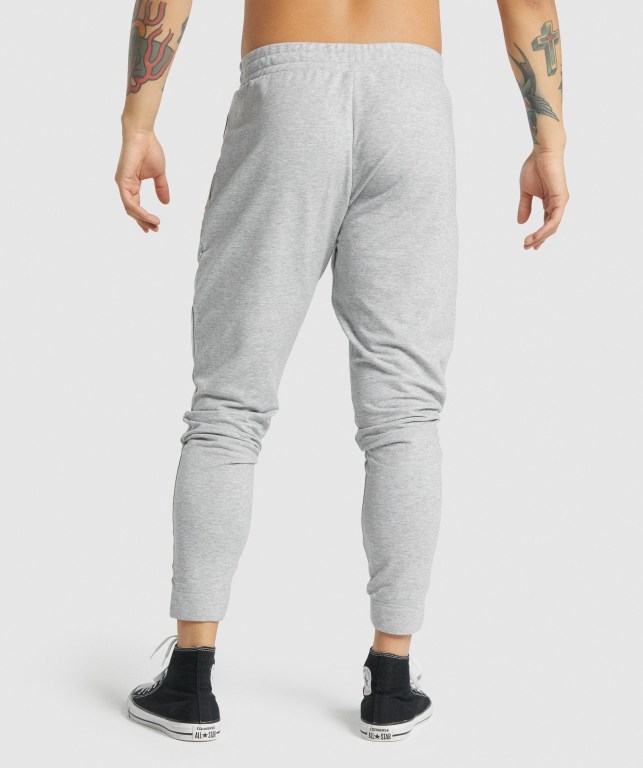 Gymshark Critical 2.0 Jogger Pantolon Erkek Açık Gri | 845-CFHQSD