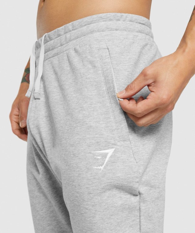 Gymshark Critical 2.0 Jogger Pantolon Erkek Açık Gri | 845-CFHQSD