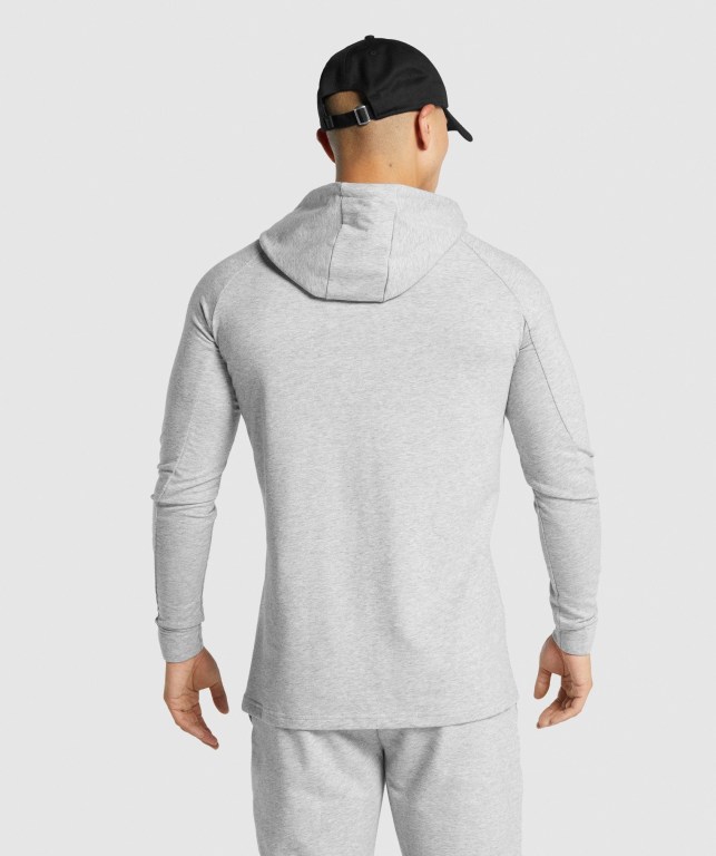 Gymshark Critical 2.0 Kapüşonlu Sweatshirt Erkek Açık Gri | 689-RKOYNU