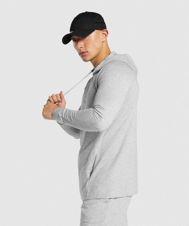 Gymshark Critical 2.0 Kapüşonlu Sweatshirt Erkek Açık Gri | 689-RKOYNU