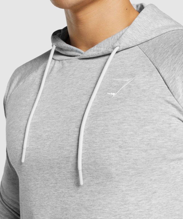 Gymshark Critical 2.0 Kapüşonlu Sweatshirt Erkek Açık Gri | 689-RKOYNU