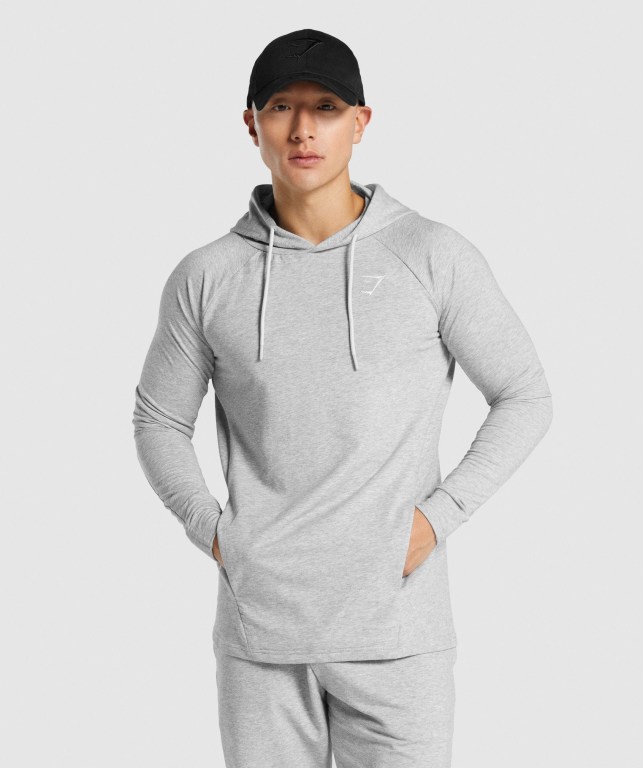 Gymshark Critical 2.0 Kapüşonlu Sweatshirt Erkek Açık Gri | 689-RKOYNU