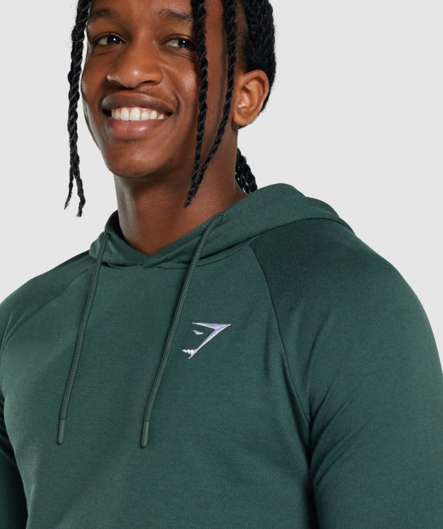 Gymshark Critical 2.0 Kapüşonlu Sweatshirt Erkek Koyu Yeşil | 862-ONFLQM