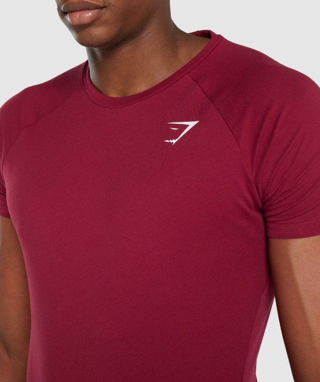 Gymshark Critical 2.0 Tişört Erkek Bordo | 420-WBDIAL