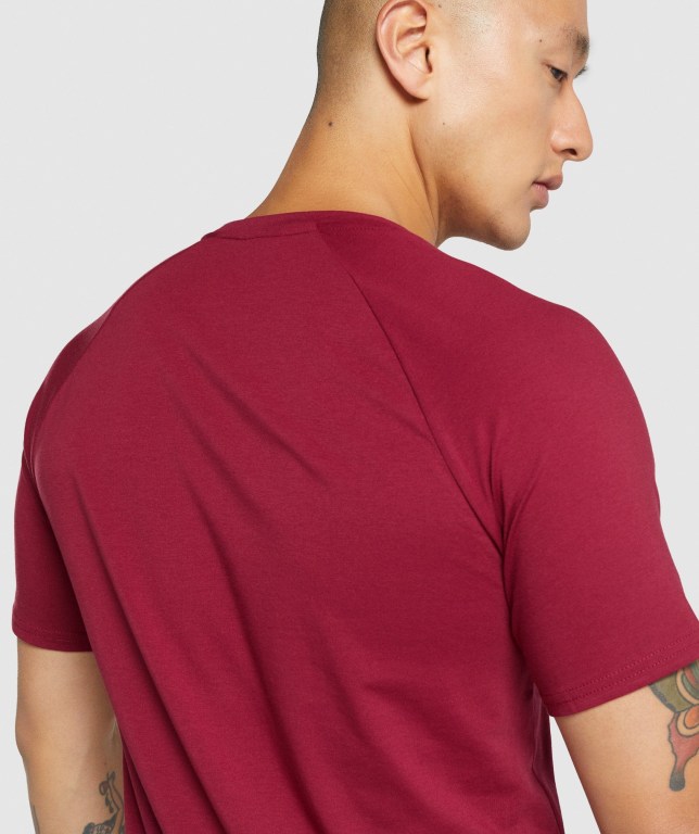 Gymshark Critical 2.0 Tişört Erkek Bordo | 502-BTDUYK