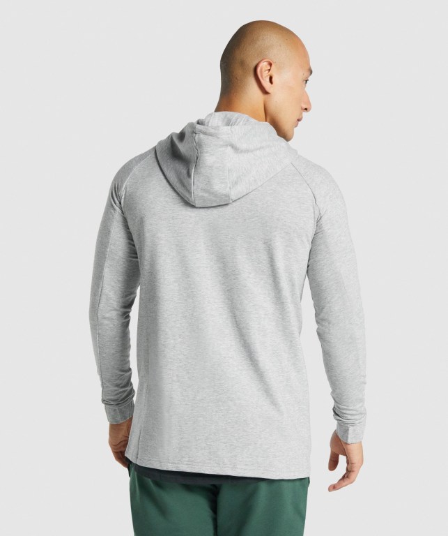 Gymshark Critical 2.0 Zip Up Kapüşonlu Sweatshirt Erkek Açık Gri | 019-NVGJDF