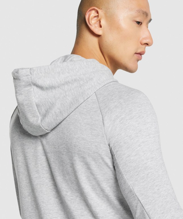 Gymshark Critical 2.0 Zip Up Kapüşonlu Sweatshirt Erkek Açık Gri | 019-NVGJDF