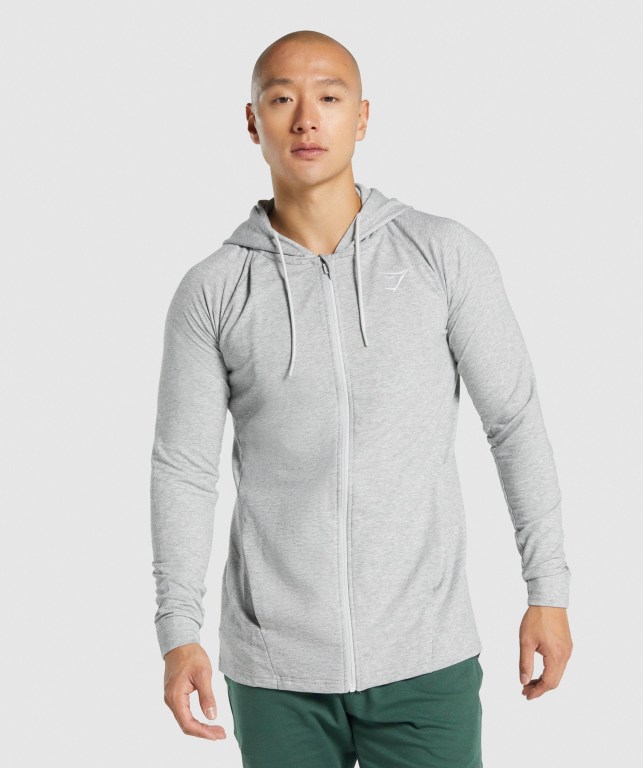 Gymshark Critical 2.0 Zip Up Kapüşonlu Sweatshirt Erkek Açık Gri | 019-NVGJDF