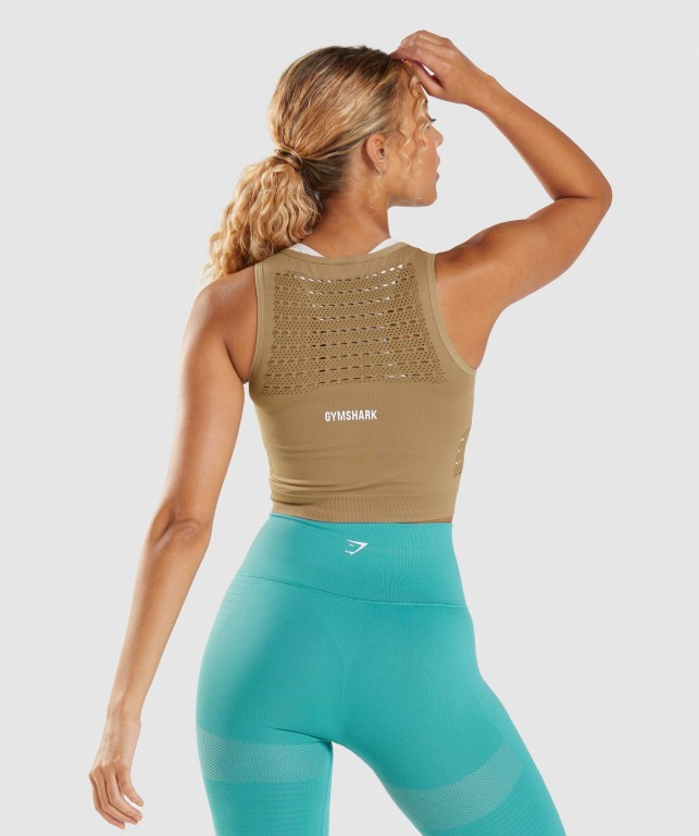 Gymshark Energy Seamless Crop Top Tişört Kadın Kahverengi | 369-DWVUSI