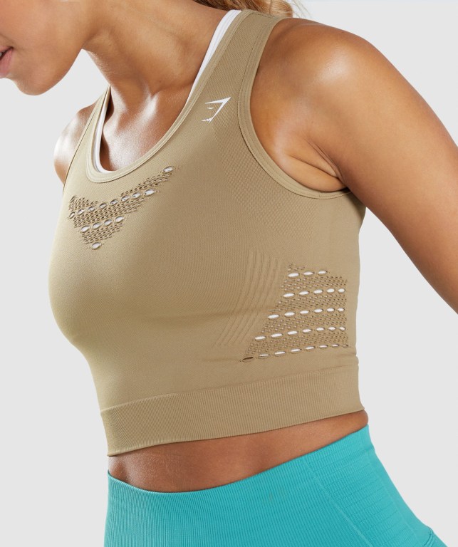 Gymshark Energy Seamless Crop Top Tişört Kadın Kahverengi | 369-DWVUSI