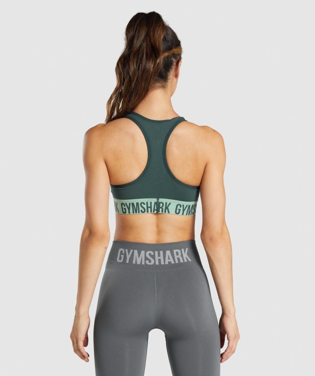 Gymshark Fit Seamless Spor Sütyeni Kadın Yeşil | 638-OVAXKW