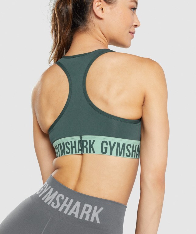 Gymshark Fit Seamless Spor Sütyeni Kadın Yeşil | 638-OVAXKW