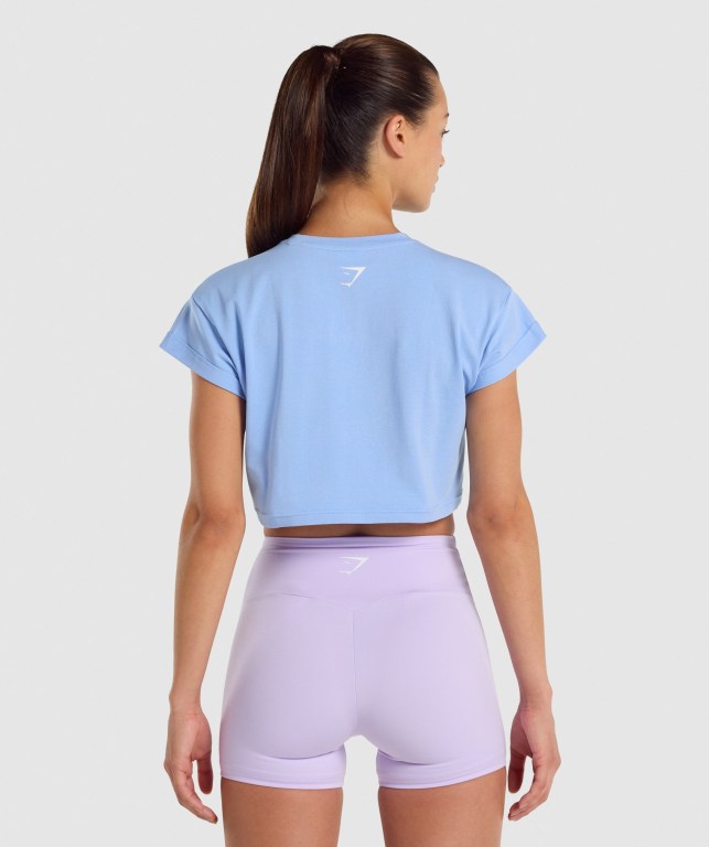 Gymshark Fraction Crop Top Tişört Kadın Açık Mavi | 218-FEBDYT