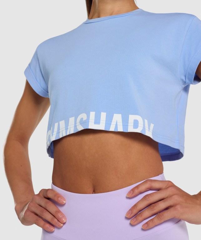 Gymshark Fraction Crop Top Tişört Kadın Açık Mavi | 218-FEBDYT