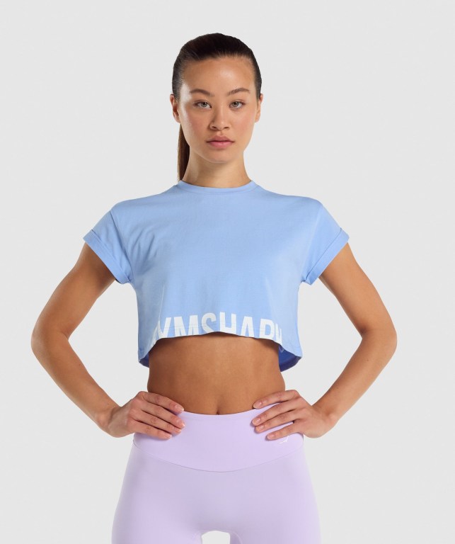 Gymshark Fraction Crop Top Tişört Kadın Açık Mavi | 218-FEBDYT