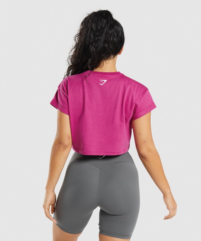 Gymshark Fraction Crop Top Tişört Kadın Pembe | 409-OMVYPF