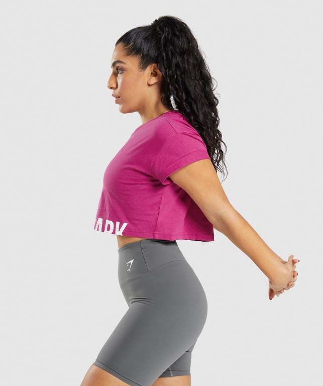 Gymshark Fraction Crop Top Tişört Kadın Pembe | 409-OMVYPF