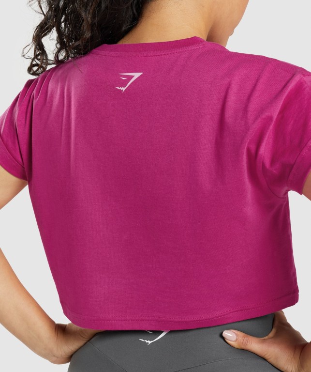 Gymshark Fraction Crop Top Tişört Kadın Pembe | 409-OMVYPF