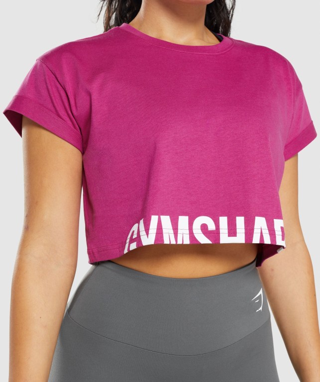 Gymshark Fraction Crop Top Tişört Kadın Pembe | 409-OMVYPF