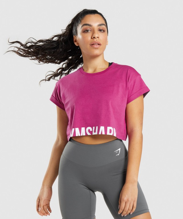 Gymshark Fraction Crop Top Tişört Kadın Pembe | 409-OMVYPF