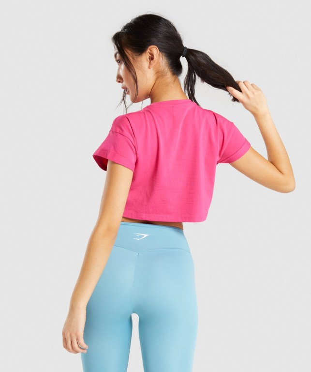 Gymshark Fraction Crop Top Tişört Kadın Pembe | 496-KLMOEC