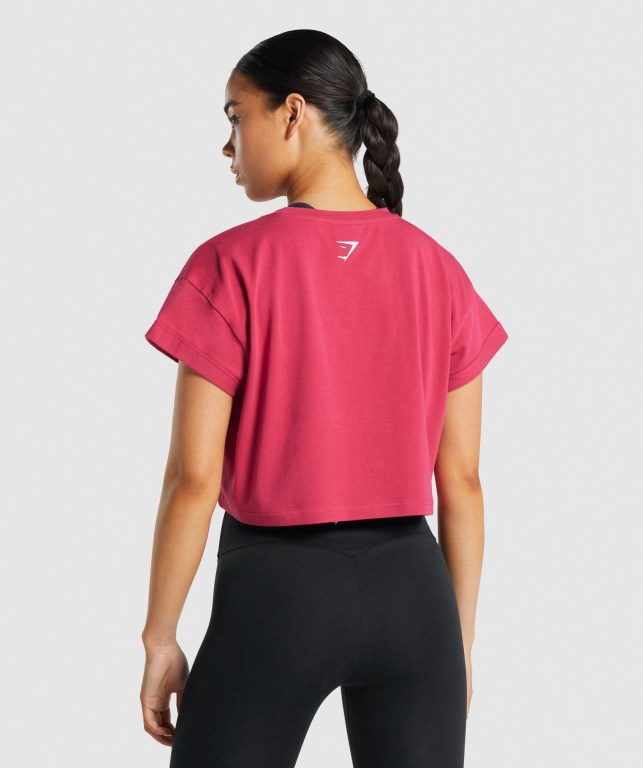 Gymshark Fraction Crop Top Tişört Kadın Pembe | 539-TGMUVH