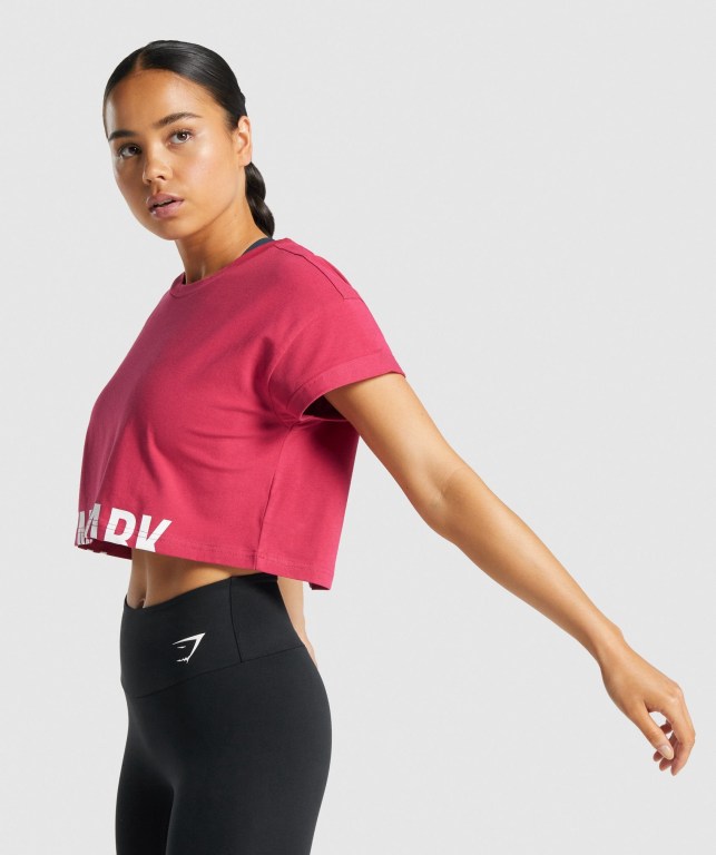 Gymshark Fraction Crop Top Tişört Kadın Pembe | 539-TGMUVH