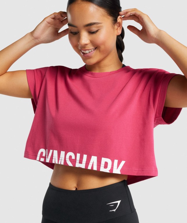 Gymshark Fraction Crop Top Tişört Kadın Pembe | 539-TGMUVH