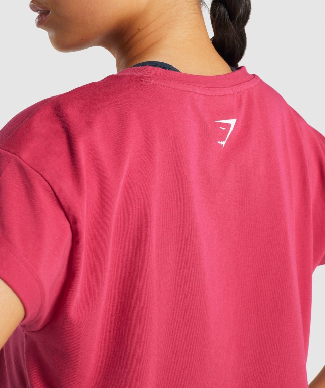 Gymshark Fraction Crop Top Tişört Kadın Pembe | 539-TGMUVH