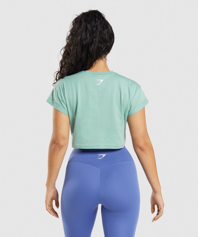 Gymshark Fraction Crop Top Tişört Kadın Mavi | 560-MKGJXF