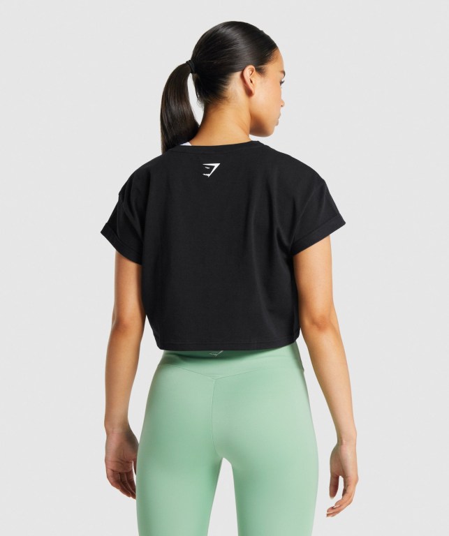 Gymshark Fraction Crop Top Tişört Kadın Siyah | 610-OQSUHE