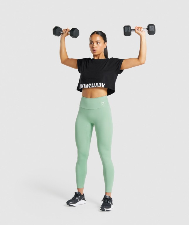 Gymshark Fraction Crop Top Tişört Kadın Siyah | 610-OQSUHE