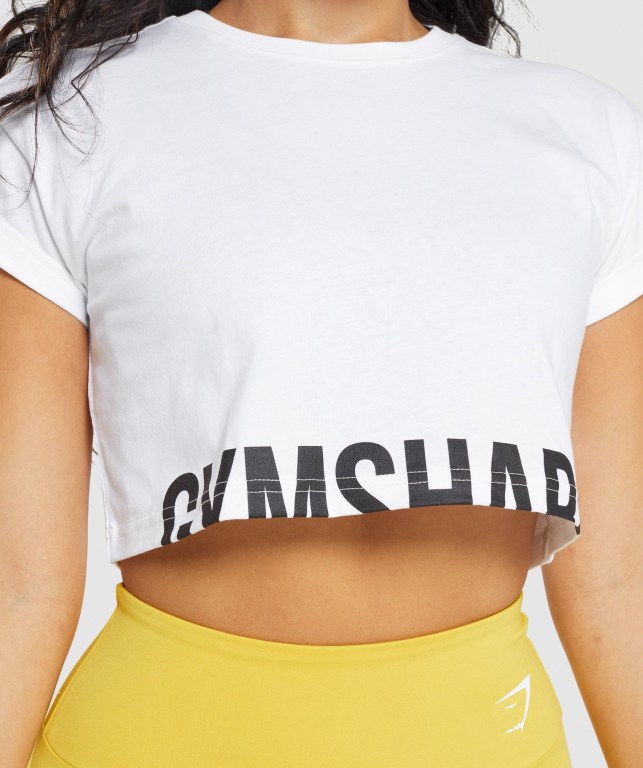 Gymshark Fraction Crop Top Tişört Kadın Beyaz | 841-WGLHMJ