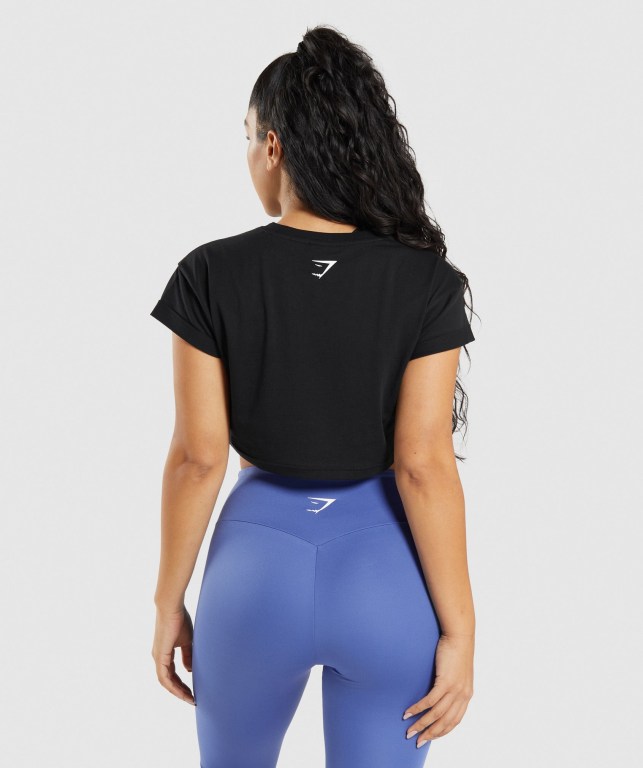 Gymshark Fraction Crop Top Tişört Kadın Siyah | 849-OLWYJP