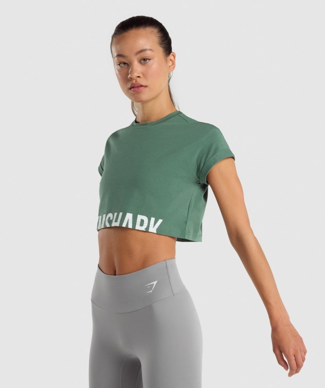 Gymshark Fraction Crop Top Tişört Kadın Yeşil | 954-UTOIRS