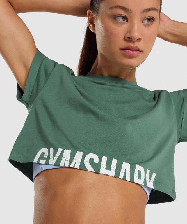 Gymshark Fraction Crop Top Tişört Kadın Yeşil | 954-UTOIRS