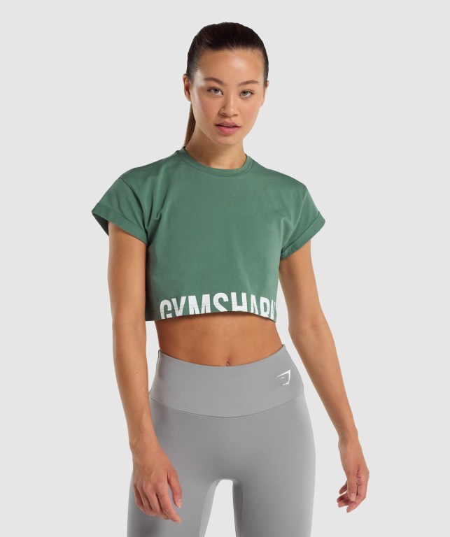 Gymshark Fraction Crop Top Tişört Kadın Yeşil | 954-UTOIRS