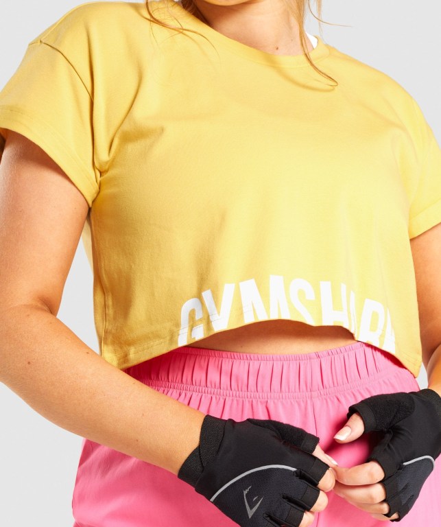 Gymshark Fraction Crop Top Tişörtü Kadın Sarı | 209-VDBOKJ