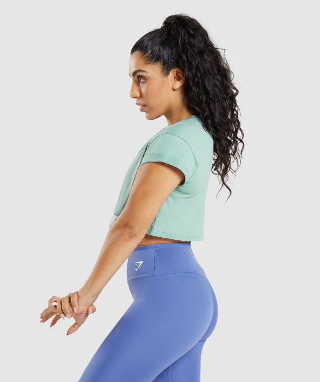 Gymshark Fraction Crop Top Tişörtü Kadın Mavi | 728-ZDLJOB