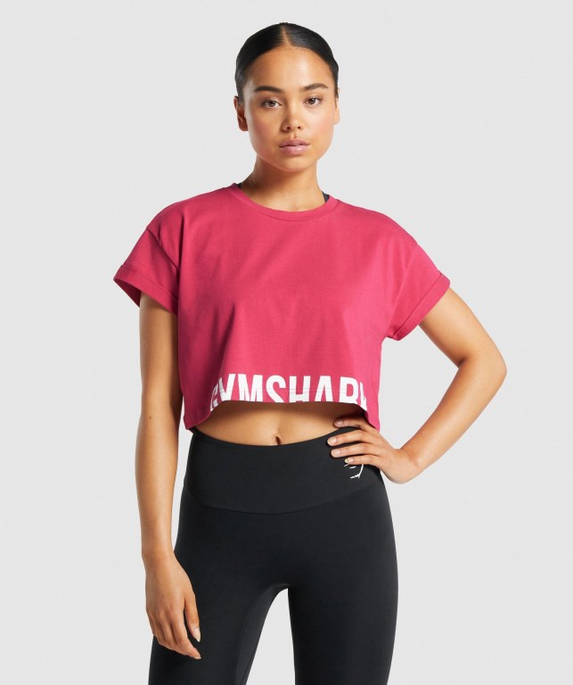 Gymshark Fraction Crop Top Tişörtü Kadın Pembe | 934-MEHDYJ