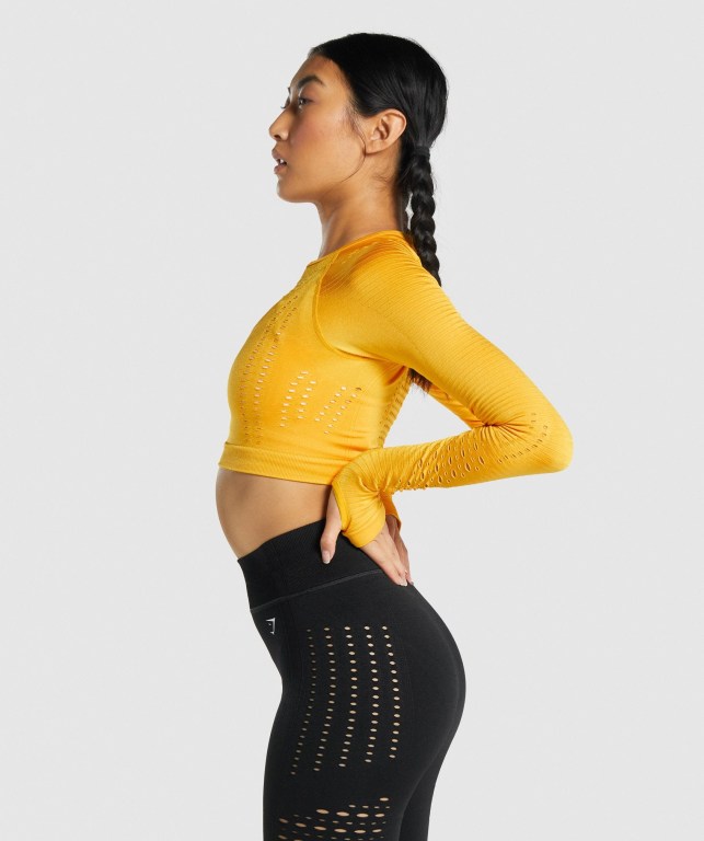 Gymshark Glow Seamless Crop Top Tişörtü Kadın Sarı | 620-JPHZGM