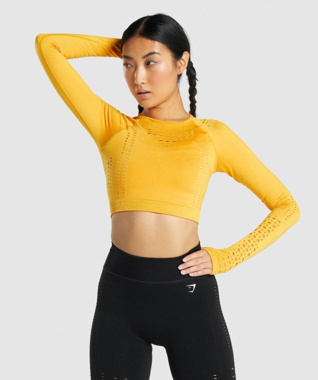 Gymshark Glow Seamless Crop Top Tişörtü Kadın Sarı | 620-JPHZGM