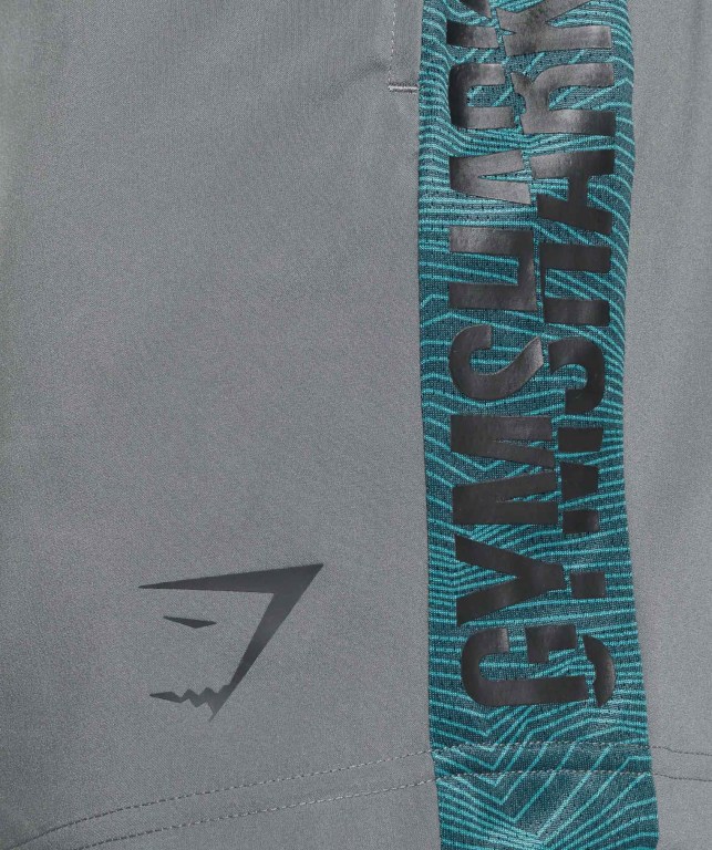 Gymshark Graphic Spor Şort Erkek Gri | 095-QNMBRU