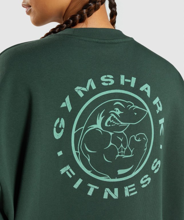 Gymshark Legacy Graphic Sweatshirt Kapüşonlu Sweatshirt Kadın Koyu Yeşil | 981-BGFYPR