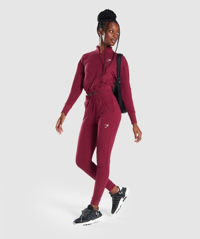 Gymshark Pippa Antrenman Kapüşonlu Sweatshirt Kadın Bordo | 398-HBSAVR