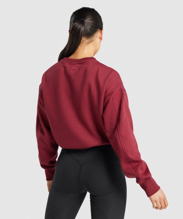 Gymshark Pulse Kapüşonlu Sweatshirt Kadın Bordo | 569-GRYCPU