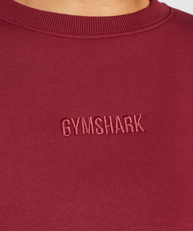 Gymshark Pulse Kapüşonlu Sweatshirt Kadın Bordo | 569-GRYCPU